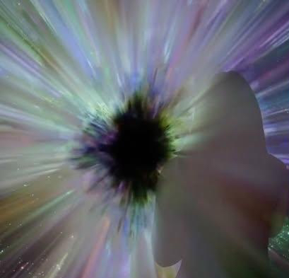 Vanessa music video still